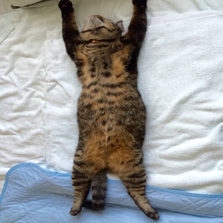 94920848 8af7 4175 8acc adee32558129