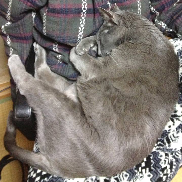 9492185e 1e11 4213 9a2d 3b6ff7294d70