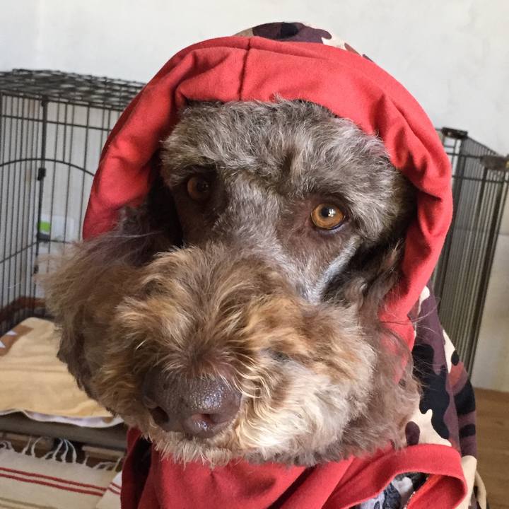 9492507b 2adb 4426 a34c dd3d7effbbf7