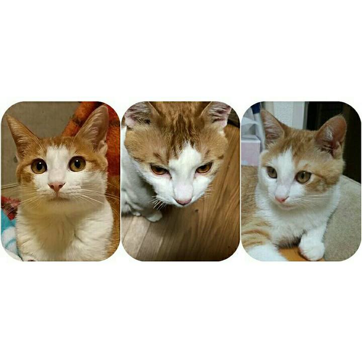 9492572e cc70 4948 9f7c d89043663adb