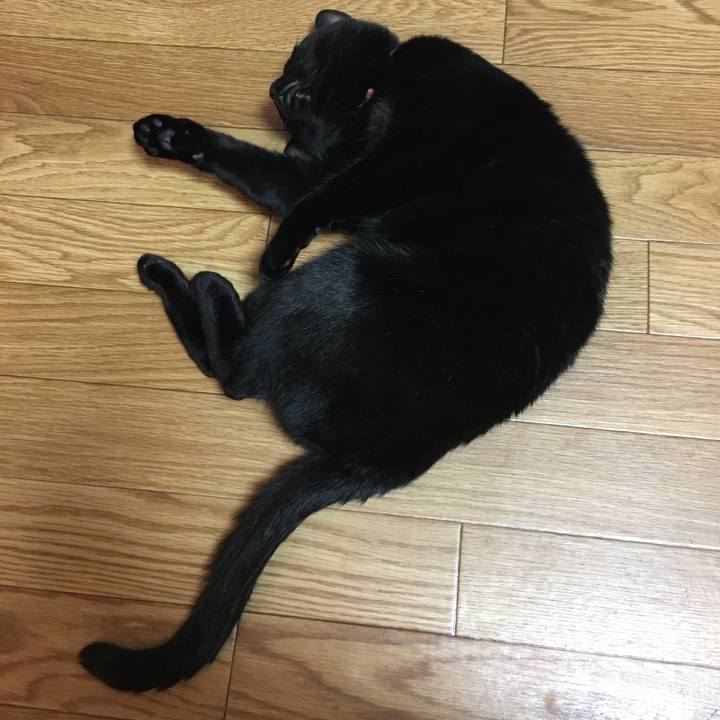 949274eb 2a8b 4414 9709 ad58ead55f63