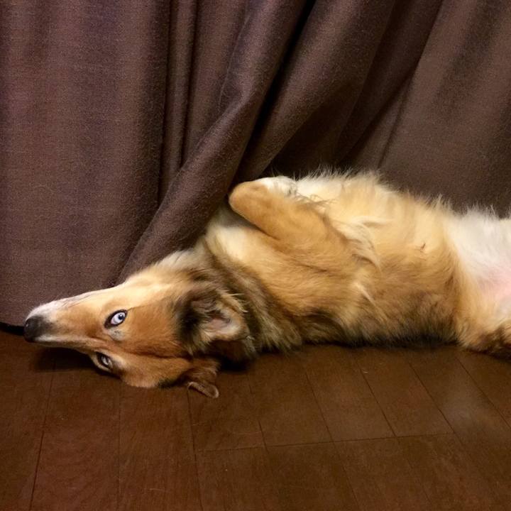 9492a890 c271 4788 99cf 14e384bdb5ac