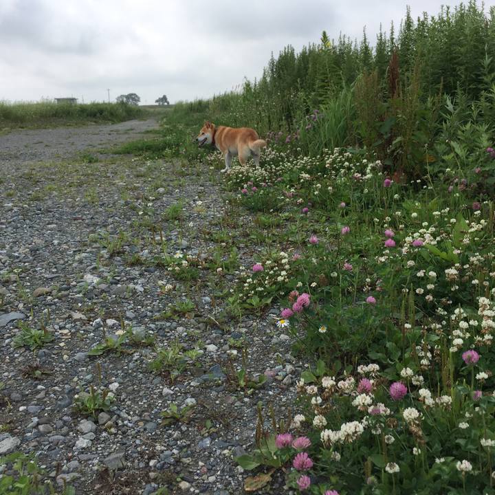 9492f592 234d 4205 84fc c2f7f56c4282