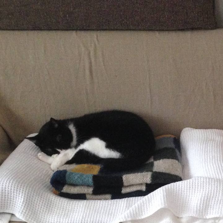 94935924 77f0 45d1 884e 3350db6d9d39