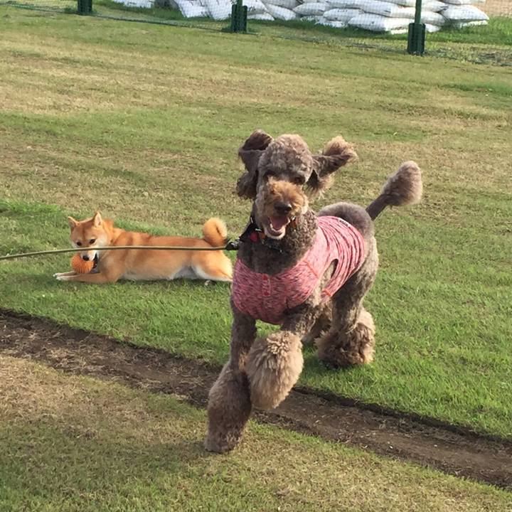 949380f9 a9b5 4714 bdd0 6611b4f3a1f4