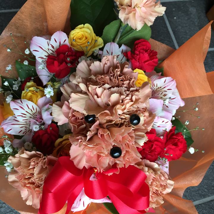 9493a995 9517 43b7 a479 337389bdc996