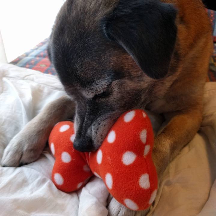 9494b7ad baa8 4d11 bb20 0ae29ccee127