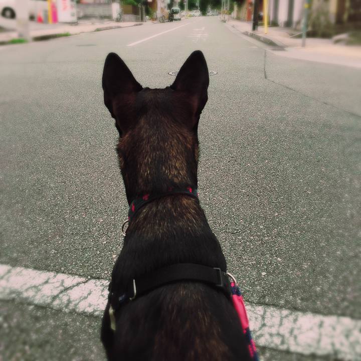 9495bbb1 f5a5 47b8 b1c6 c176a1565500