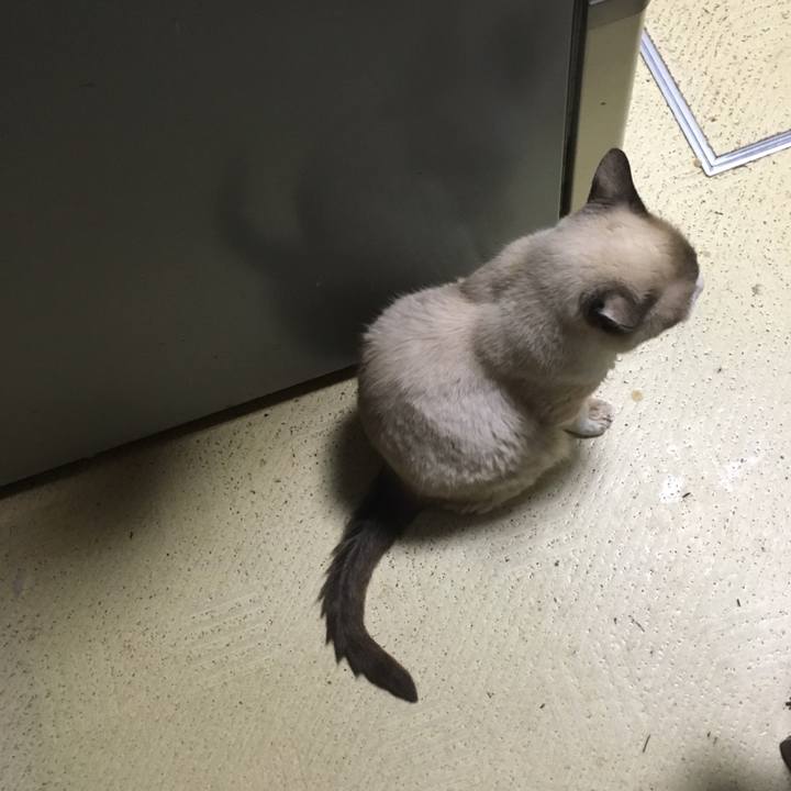 9495f325 626d 4756 bead 963b6872e0f4