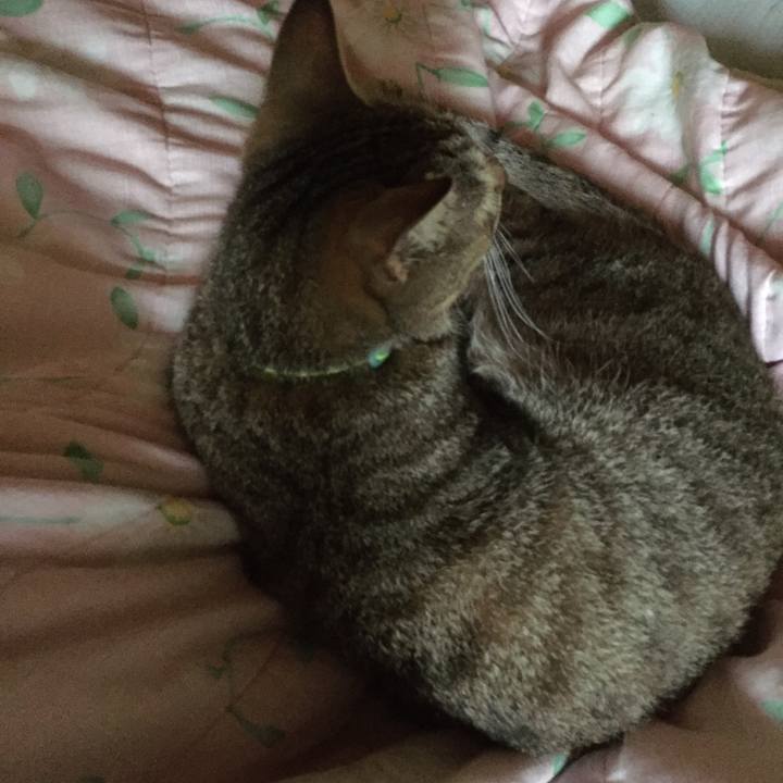 94971891 19fc 4cc3 83c7 25aced2199ec