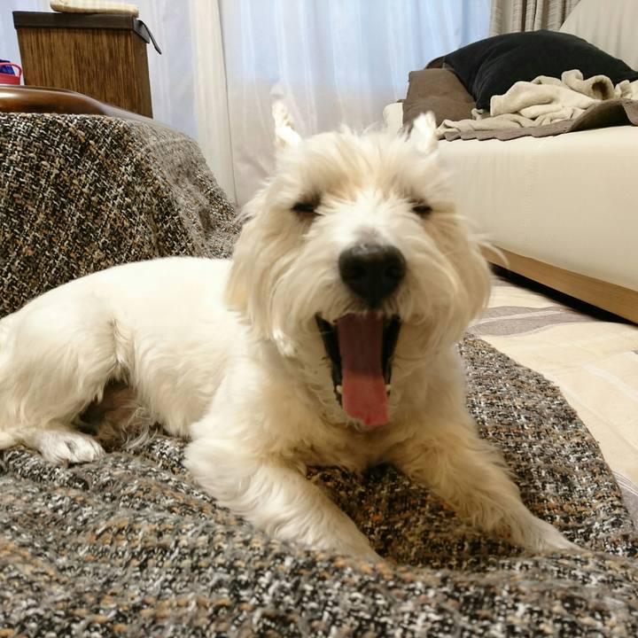 94979742 3d7f 4fb8 ae43 58a13f2017c8