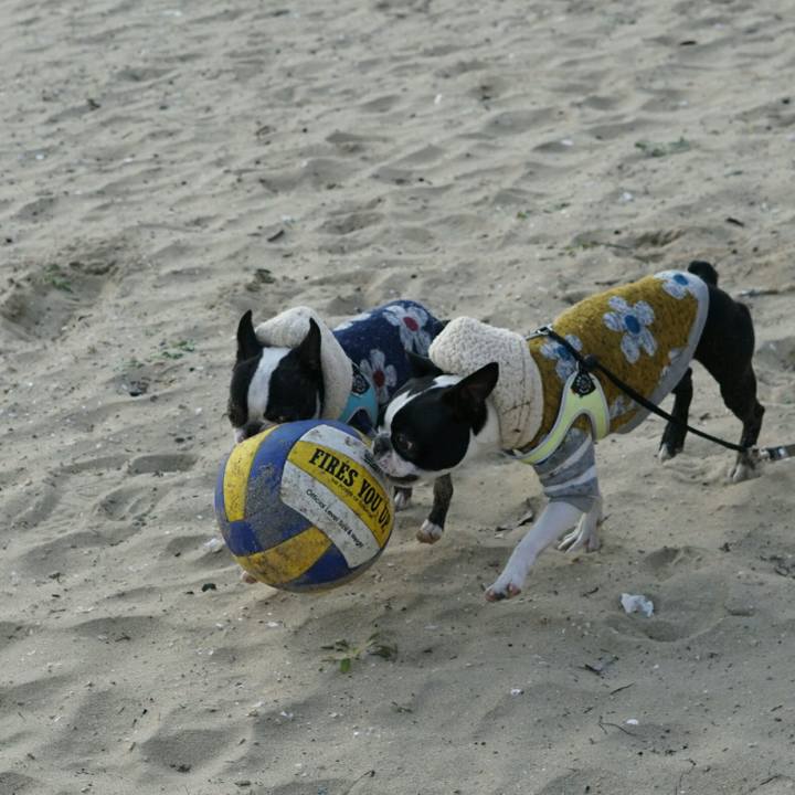 9497fd4b ff7b 412a be2f 2b52d6459e2c