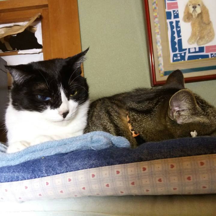 94988fce 0fa8 47ef bd37 7f8d97b1941e