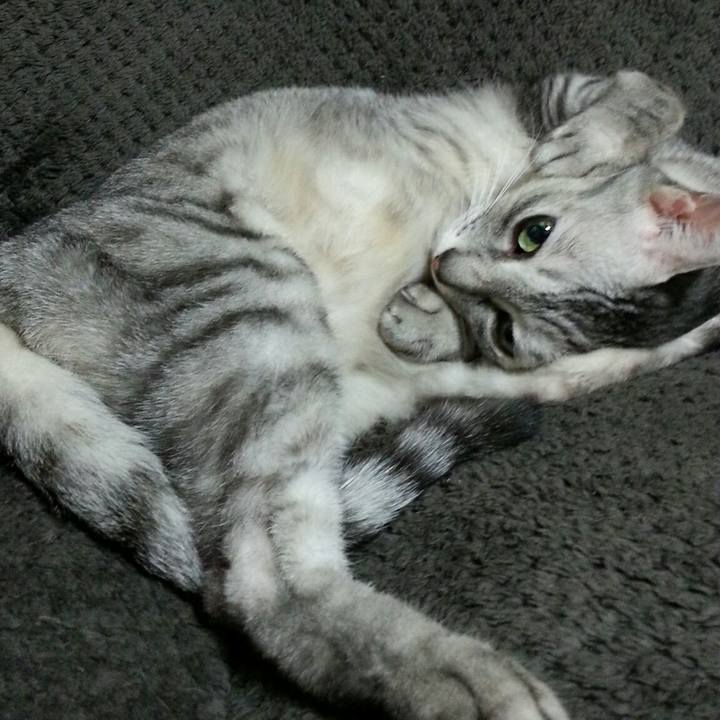 94990b70 ac10 4cc6 9b7f b8500f0a0650