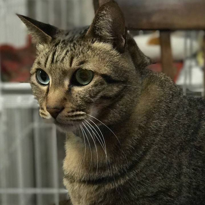 949a99a4 a80b 4868 8c18 0f8a07d1666f