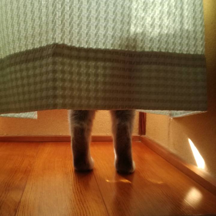 949b3d76 2a3b 4766 9f1a 871b71b99ce7