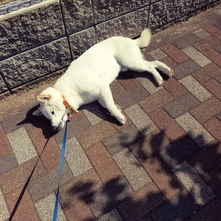 949bae25 db30 45ca 9f33 241a892c8528