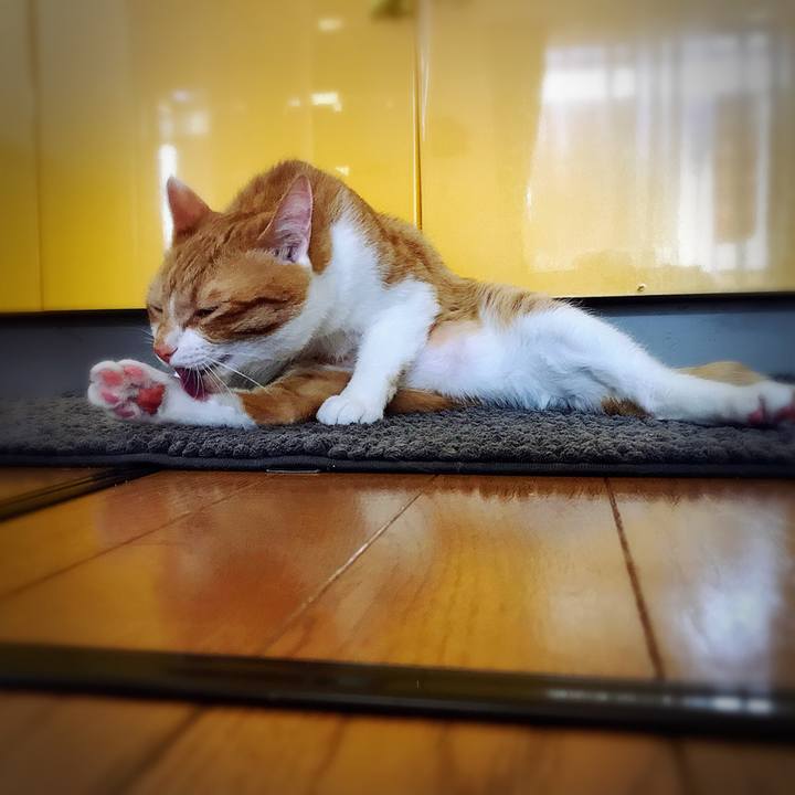 949bb73d 7864 4cce 8434 8963747722ad