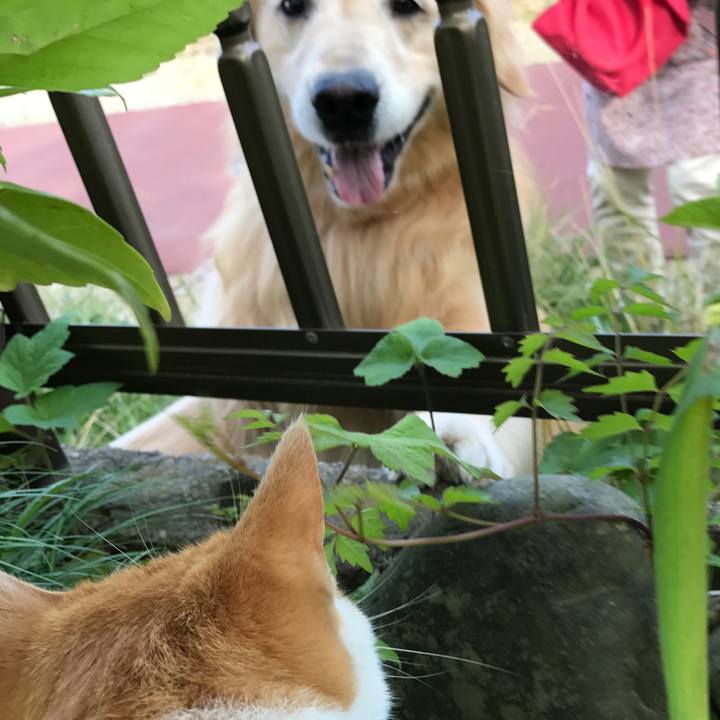 949bc924 b7b8 4e0c acc1 2781e919f410