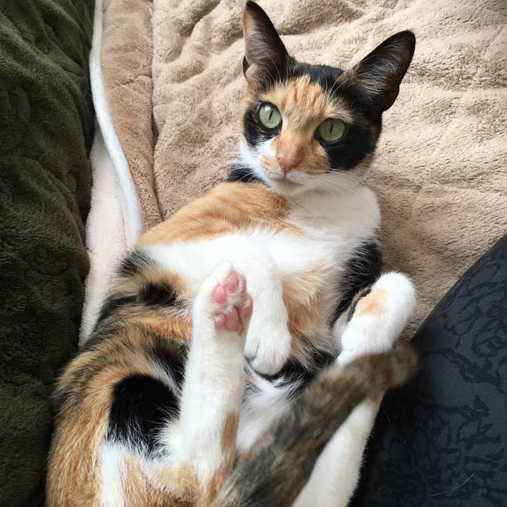 949bfa0b 9781 4192 a04f 9a3efa9c49d1