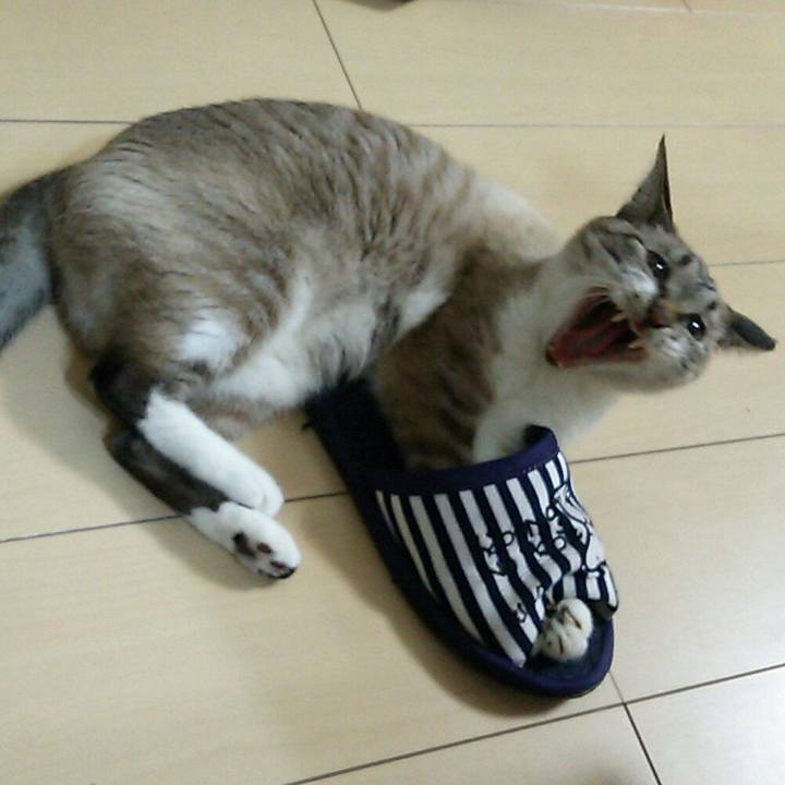 949c51c8 f432 44ad 9afc 26772b85135e