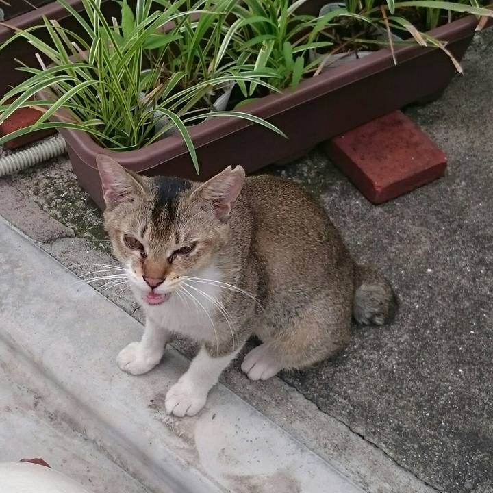 949cfe66 c541 4420 a9ef 4b6a275aebe5