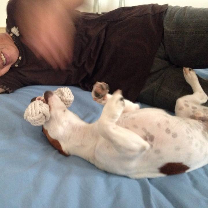 949cff1c 968a 4a6c b44b b4233135bbbf