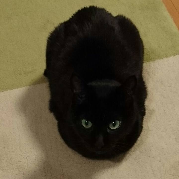 949d2529 dea7 408d 9fef 0bdc676214d7