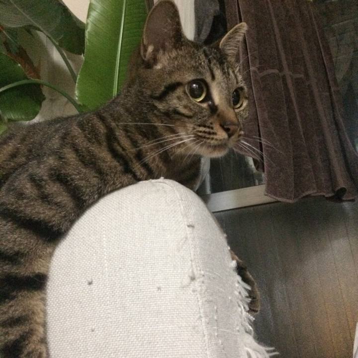 949d939b 8e6f 4dfb 8427 ef02c551f03a