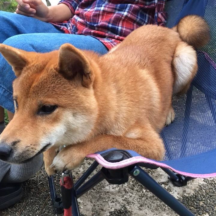 949da48a c54e 42e6 8c0d 6e36ace17a2f