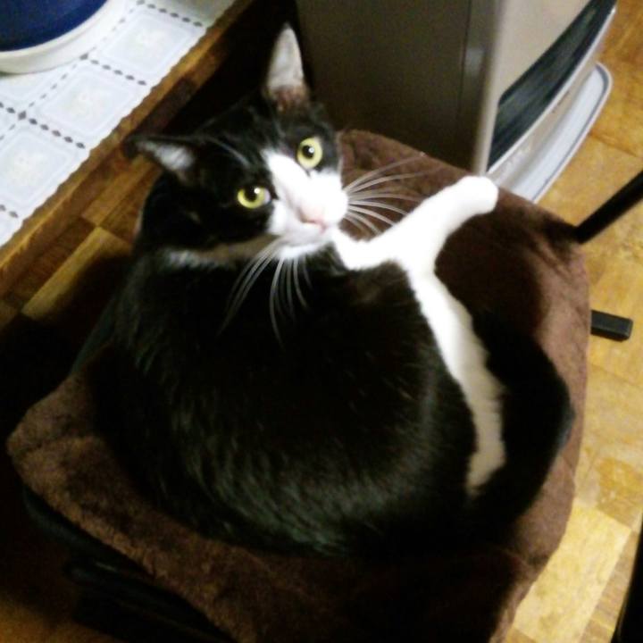 949dc6df 8154 4231 a859 6335a08de8f8