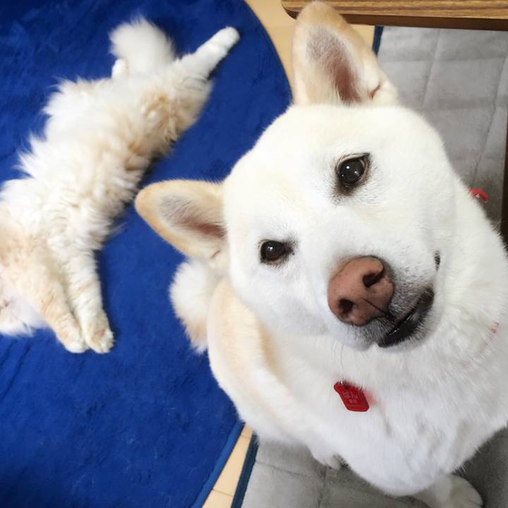 949e3928 280d 479c 829e 05f4216f9c6e