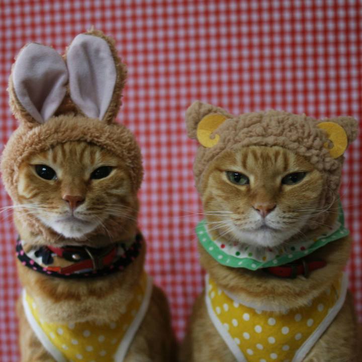 949e81f5 f30c 46d2 8d35 94a1b1dbd5e9