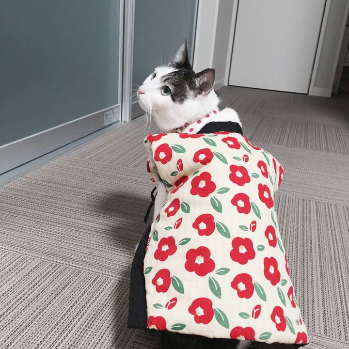 949e98f9 ea1c 407e a4a6 313962e2c906