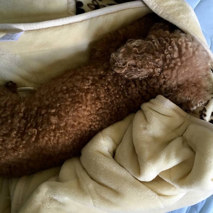 949ecf33 d84b 4b26 8c5a 8400d4870ec5