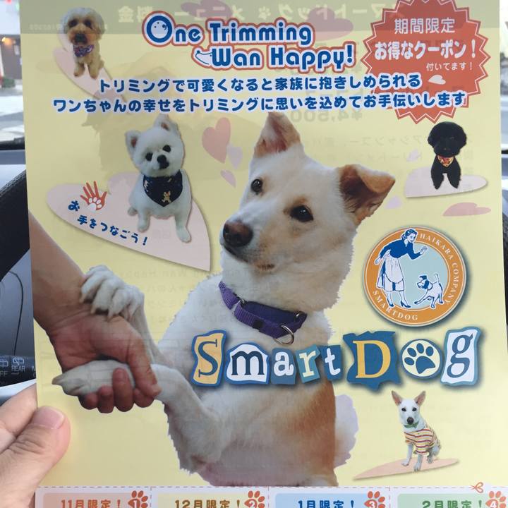 949ede8b cfbb 472d 8754 f63d3c8516a8