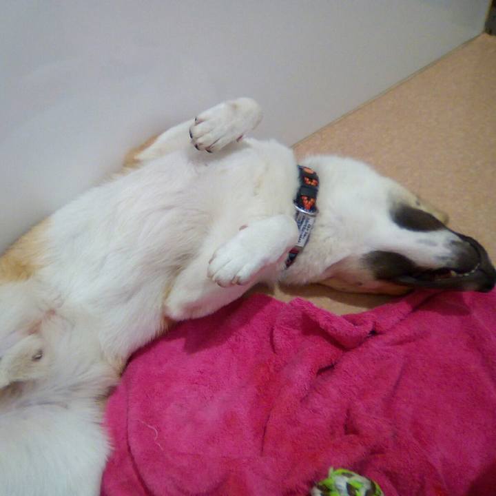 94a07d27 eaf7 4156 aae6 421d9c367aef