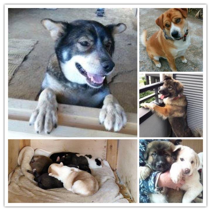 94a2c561 54e9 47b2 9aaa 822a69e10581