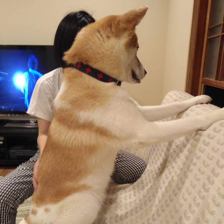 94a31a31 5fea 4380 ac9e b4b49277f783