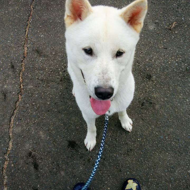 94a345dd 2da7 457b aa01 9b76bdc43449