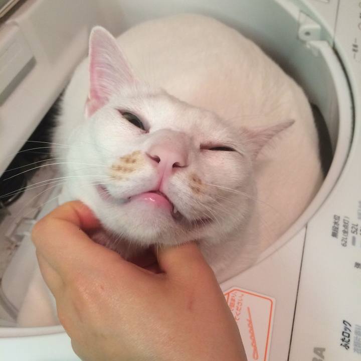 94a48b85 e063 49a3 9cb1 779c07a51284