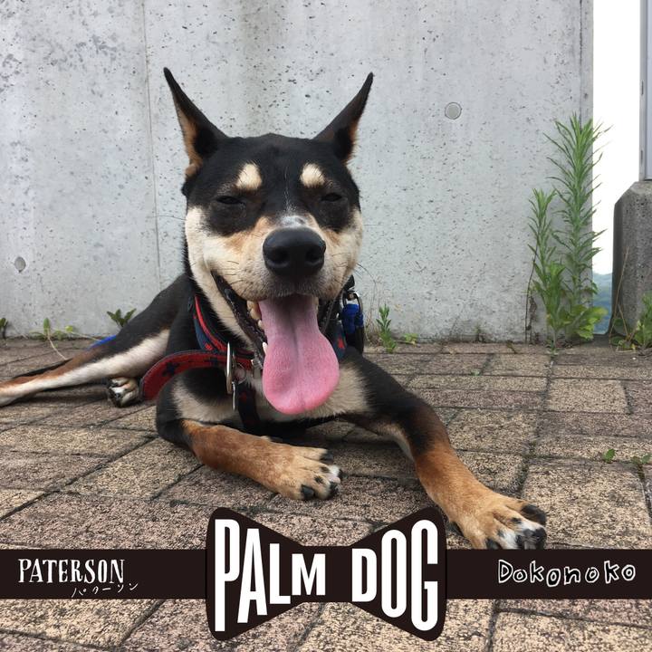 94a48e8f f605 4958 b920 e65774f49651