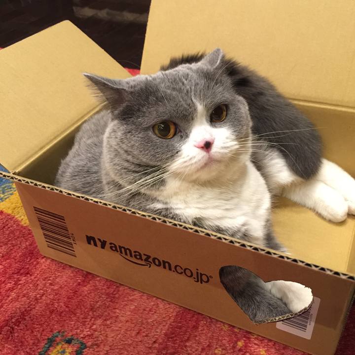 94a4fee7 1497 4622 baea 07cd04ff2704