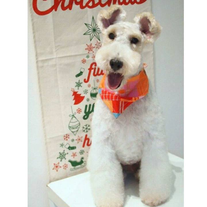 94a5ba94 c272 4c7b aab2 b9ffcc1a80ff