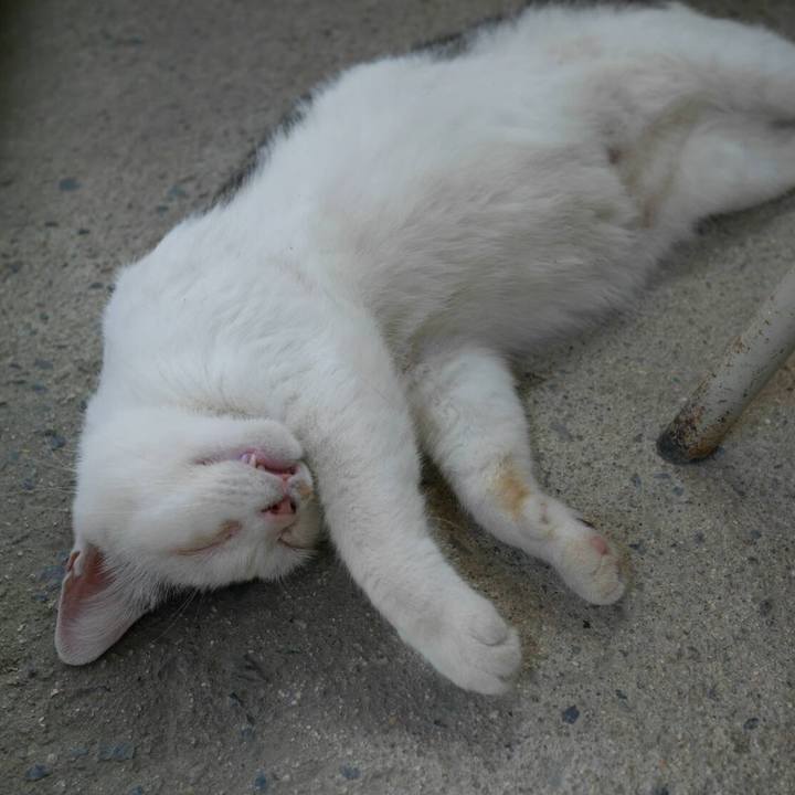 94a5e66f 1669 48e4 b52e 5da5528fdd41