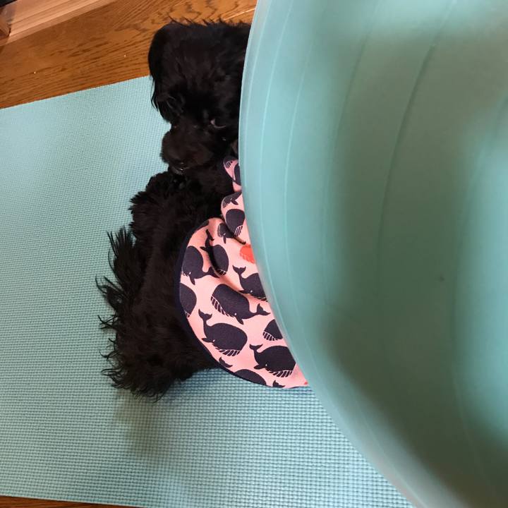 94a626f5 0bcd 4b0b 9e47 89d1a3656489