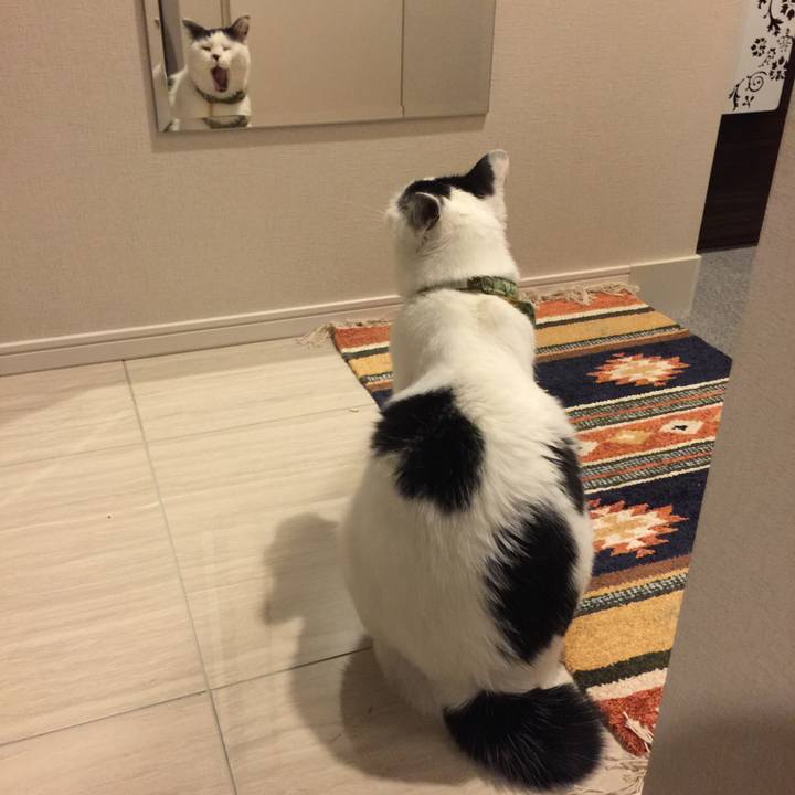 94a6b0b7 4874 48c6 bb43 99c48ac4b95c