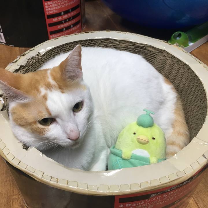 94a6b99f 2e6b 4f7a bcee 57557d2f7780