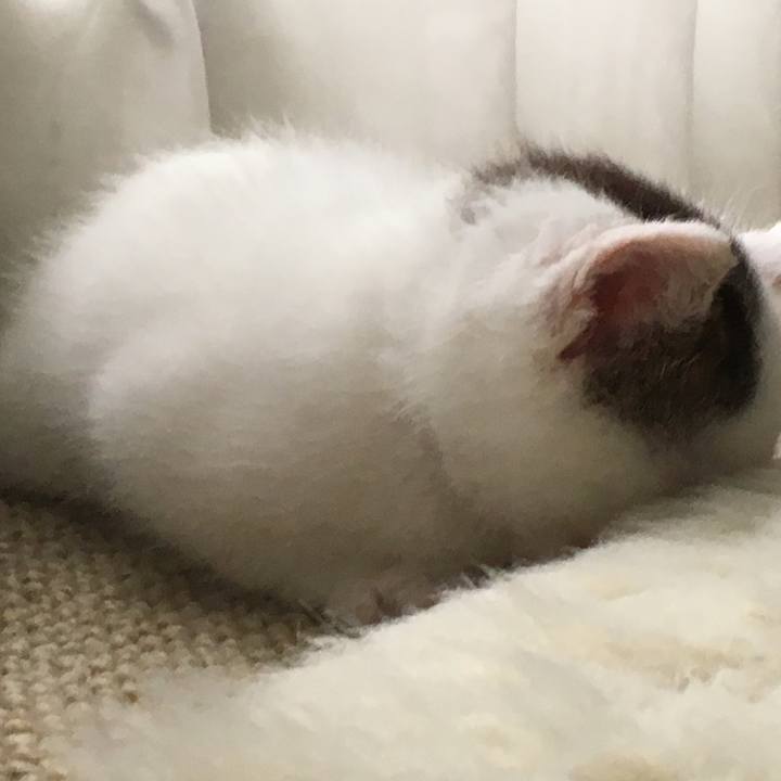 94a71104 6a1d 4478 b026 5b954c811f61