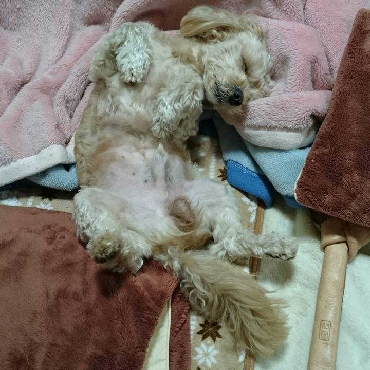 94a75e37 767f 47fe a894 506ac8a7c84b